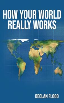 How Your World Really Works (en Inglés)