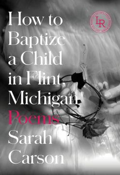 portada How to Baptize a Child in Flint, Michigan: Poems (en Inglés)