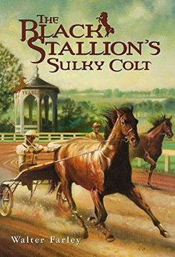 portada The Black Stallion's Sulky Colt (en Inglés)