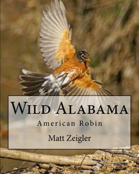 portada Wild Alabama: American Robin