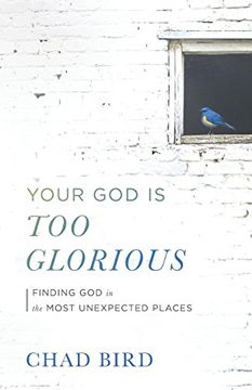 portada Your god is too Glorious: Finding god in the Most Unexpected Places (en Inglés)