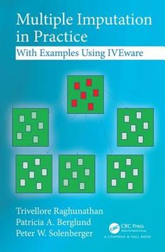 Multiple Imputation in Practice: With Examples Using Iveware (en Inglés)