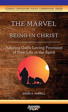 portada The Marvel of Being in Christ: Adoring God's Loving Provision of new Life in the Spirit (en Inglés)
