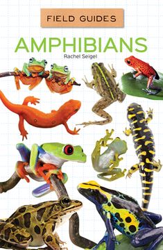 portada Amphibians (in English)