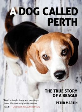 portada A Dog Called Perth: The True Story of a Beagle (en Inglés)