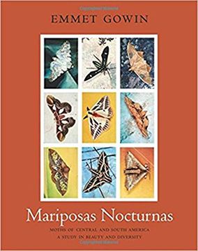 portada Mariposas Nocturnas: Moths of Central and South America, A Study in Beauty and Diversity (in English)