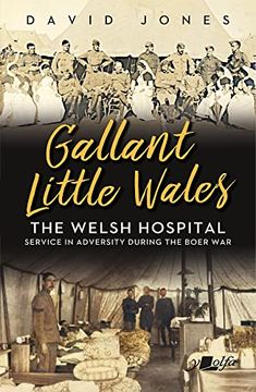 portada Gallant Little Wales: The Welsh Hospital for South Africa (en Inglés)