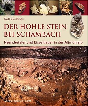 portada Der Hohle Stein bei Schambach: Neandertaler und Eiszeitjäger in der Altmühlalb (Archäologie in Bayern)