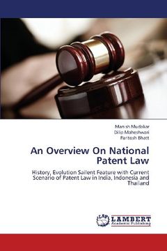 portada An Overview on National Patent Law