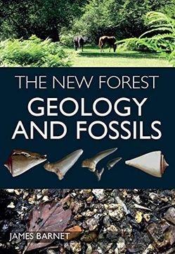 portada The new Forest: Geology and Fossils (en Inglés)