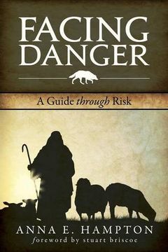 portada Facing Danger: A Guide Through Risk (in English)