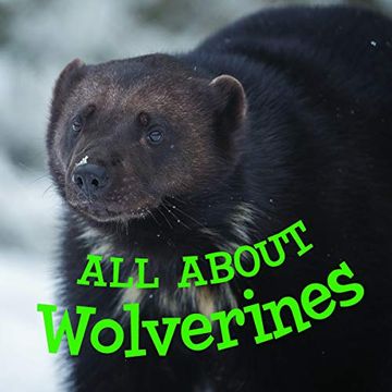 portada All About Wolverines (English) (Nunavummi)
