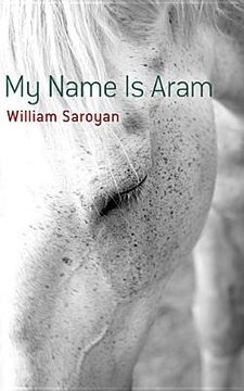 portada my name is aram (en Inglés)