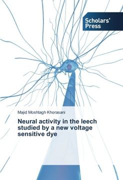 portada Neural activity in the leech studied by a new voltage sensitive dye