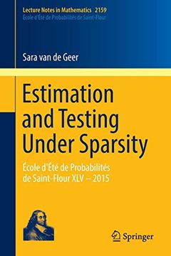 portada Estimation and Testing Under Sparsity: École D'été de Probabilités de Saint-Flour xlv – 2015 (Lecture Notes in Mathematics) (en Inglés)