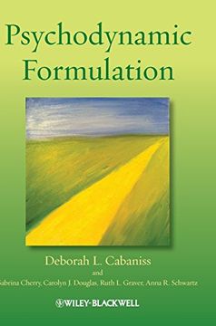 portada Psychodynamic Formulation (in English)