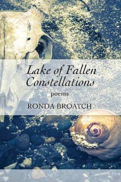 portada Lake of Fallen Constellations
