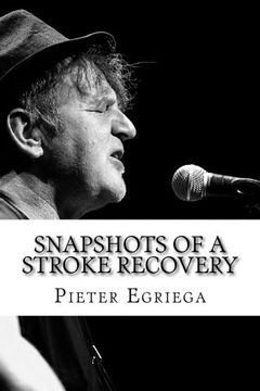 portada SnapShots of a Stroke Recovery: Stroke Association Creative Arts Award Winner 2014