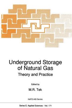 portada Underground Storage of Natural Gas: Theory and Practice