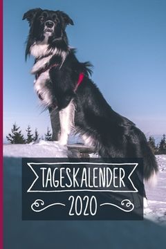portada Tageskalender 2020: Terminkalender ca DIN A5 weiß über 370 Seiten I 1 Tag eine Seite I Jahreskalender I Border Collie I Hunde (en Alemán)