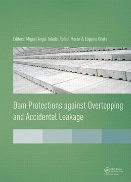 portada Dam Protections Against Overtopping and Accidental Leakage (en Inglés)