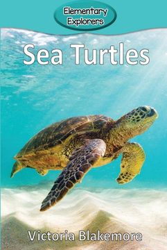 portada Sea Turtles 