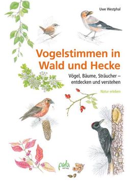 portada Vogelstimmen in Wald und Hecke (en Alemán)