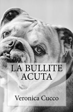 portada La bullite acuta (Italian Edition)