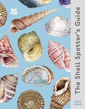 portada The Shell-Spotter's Guide (en Inglés)
