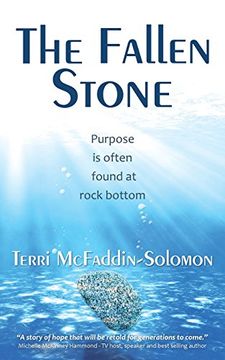 portada The Fallen Stone: Purpose is often found at rock bottom