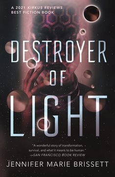 portada Destroyer of Light (in English)