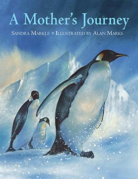 portada A Mother's Journey (en Inglés)