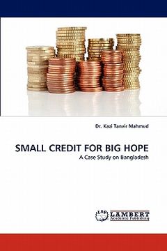 portada small credit for big hope (en Inglés)