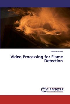 portada Video Processing for Flame Detection (en Inglés)