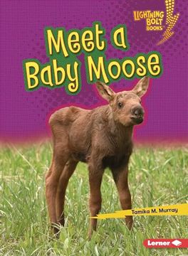 portada Meet a Baby Moose (en Inglés)