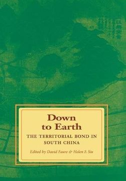 portada Down to Earth: The Territorial Bond in South China (en Inglés)