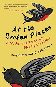 portada At the Broken Places: A Mother and Trans son Pick up the Pieces (Queer Action (en Inglés)