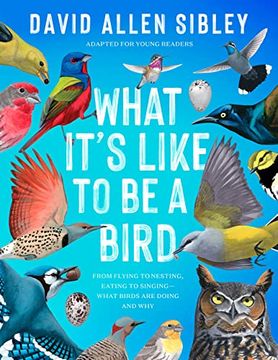 portada What It's Like to be a Bird (Adapted for Young Readers): From Flying to Nesting, Eating to Singing--What Birds are Doing and why (in English)