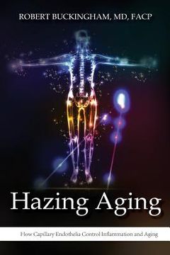 portada Hazing Aging: How Capillary Endothelia Control Inflammation and Aging (en Inglés)