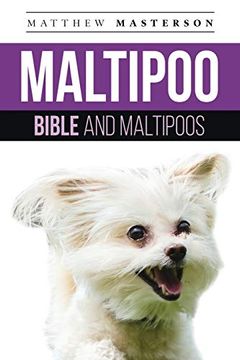 portada Maltipoo Bible and Maltipoos: Your Perfect Maltipoo Guide Maltipoo, Maltipoos, Maltipoo Puppies, Maltipoo Dogs, Maltipoo Breeders, Maltipoo Care,. Grooming, Breeding, History and More! (en Inglés)