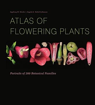 portada Atlas of Flowering Plants: Visual Studies of 200 Deconstructed Botanical Families (en Inglés)