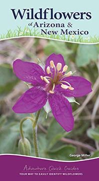 portada Wildflowers of Arizona and new Mexico (Adventure Quick Guides) [Idioma Inglés] (en Inglés)