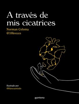 portada A Través de MIS Cicatrices / Through My Scars (in Spanish)