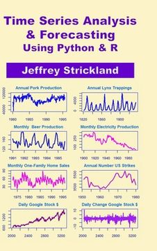 portada Time Series Analysis and Forecasting using Python & R (in English)