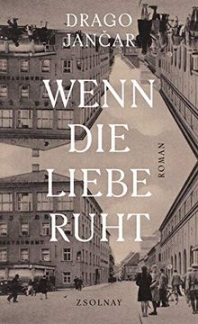 portada Wenn die Liebe Ruht: Roman (in German)