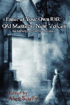 portada enter at your own risk: old masters, new voices