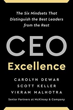 portada Ceo Excellence: The six Mindsets That Distinguish the Best Leaders From the Rest (en Inglés)