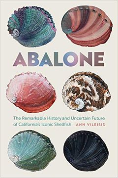 portada Abalone: The Remarkable History and Uncertain Future of California'S Iconic Shellfish (en Inglés)