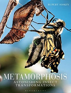 portada Metamorphosis: Astonishing Insect Transformations (en Inglés)
