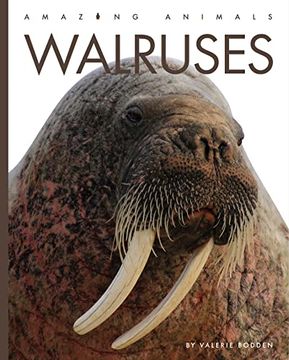 portada Walruses (Amazing Animals) (en Inglés)